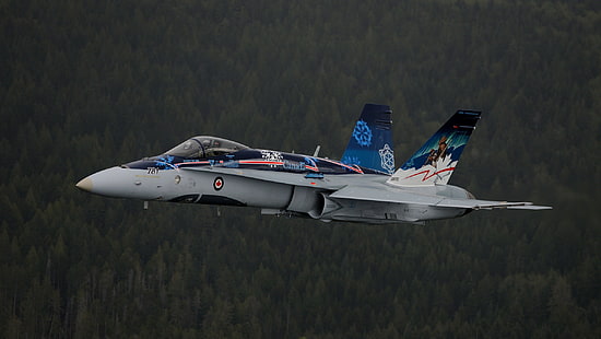 biało-niebieski ponton, McDonnell Douglas F / A-18 Hornet, samolot, myśliwiec odrzutowy, wojsko, samoloty wojskowe, Tapety HD HD wallpaper