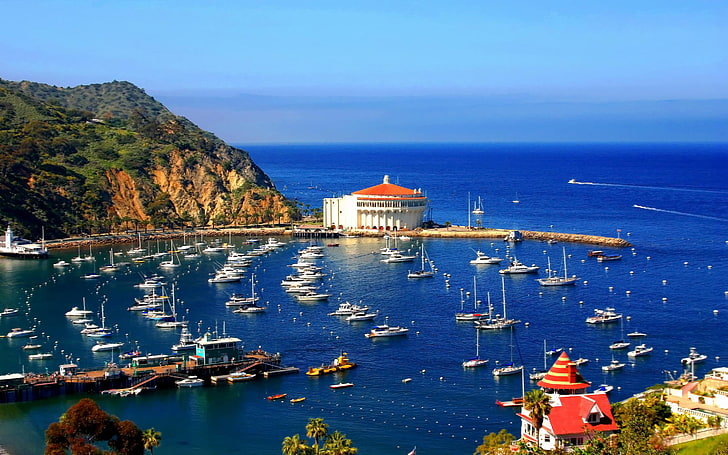 Best Location Santa Catalina Island California Desktop Hd Wallpaper, HD wallpaper