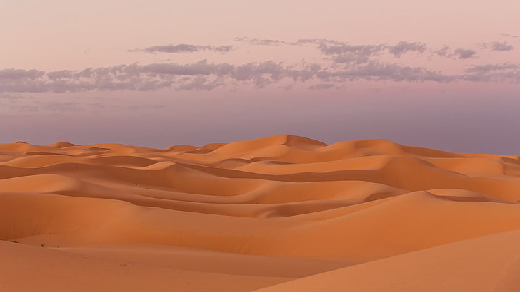 brauner hölzerner Bettrahmen mit Matratze, Wüste, Landschaft, HD-Hintergrundbild
