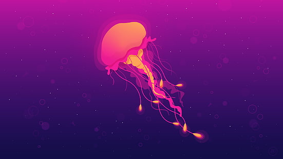 Jellyfish, HD wallpaper HD wallpaper