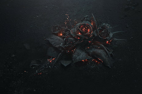 fiori, rosa, compendio, cenere, nero, ardente, buio, fuoco, Sfondo HD HD wallpaper