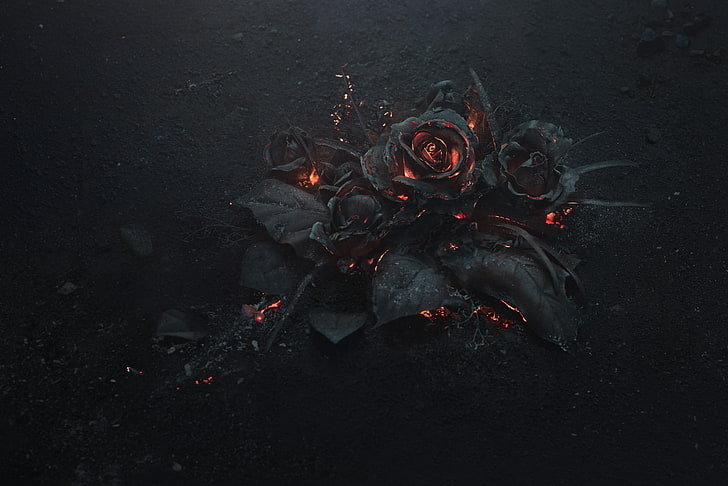 Black Rose Ilration Ash Burning Abstract Dark Flowers Hd Wallpaper Wallpaperbetter - Dark Flower Wallpaper 4k