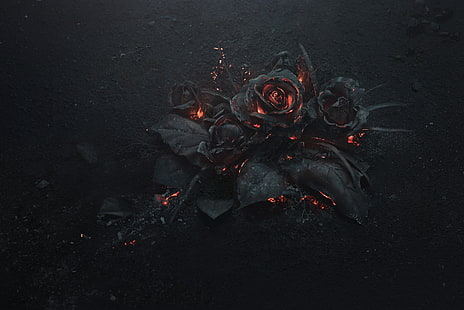 ilustrasi mawar hitam, mawar, abu, pembakaran, hitam, abstrak, gelap, bunga, api, Wallpaper HD HD wallpaper