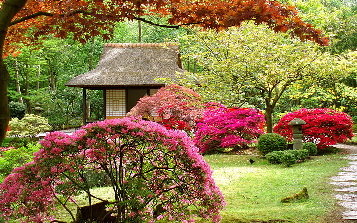 pink and red petaled flowers, trees, landscape, flowers, house, Japanese garden, HD wallpaper