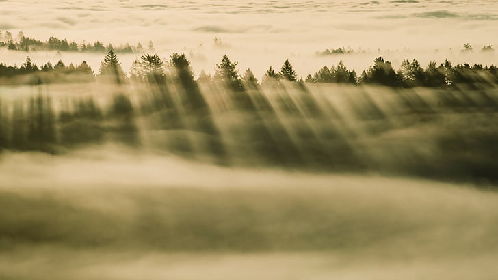 Natur, Bäume, Wald, Wolken, Nebel, Sonnenstrahlen, Kiefern, Landschaft, HD-Hintergrundbild