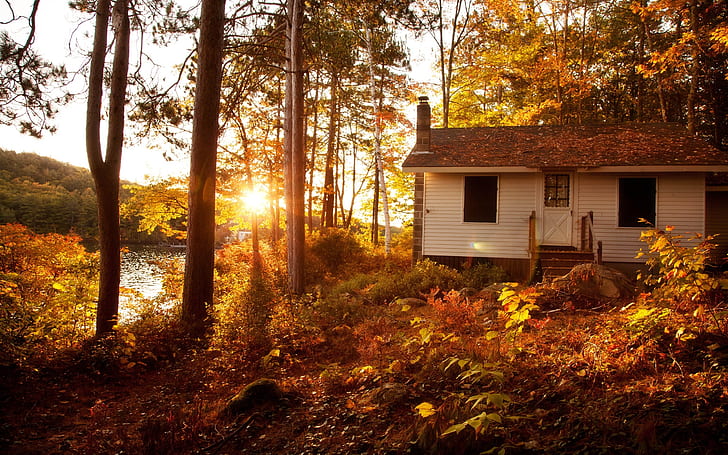 Paisagem de outono, floresta, árvores, pôr do sol, casa, casa cercada por foto de árvores, outono, paisagem, floresta, árvores, pôr do sol, casa, HD papel de parede