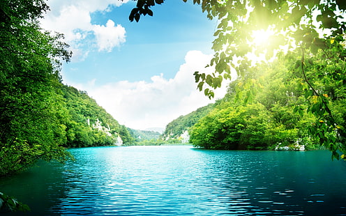 Calm Lake Reflection, forest, green forest, forest background, lake desktop background, HD wallpaper HD wallpaper