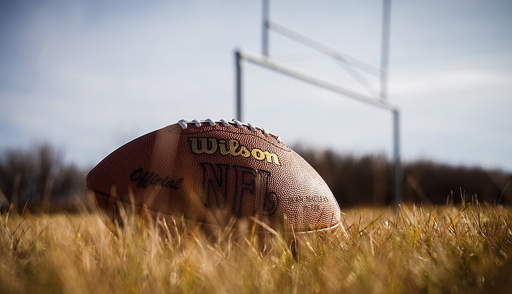 brown Wilson football, sports, American football, closeup, HD wallpaper