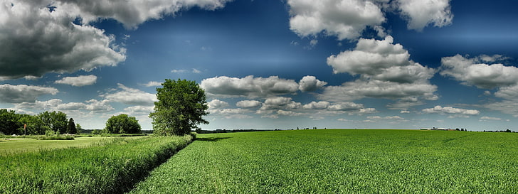 облака с двойным экраном панорамное поле Nature Fields HD Art, облака, трава, поле, двойной экран, горизонт, травы, HD обои