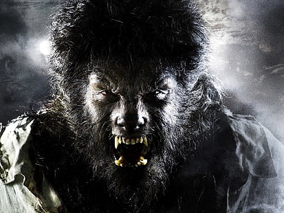 werewolf illustratioin, The Wolf Man, Benicio Del Toro, The Wolfman, HD wallpaper HD wallpaper