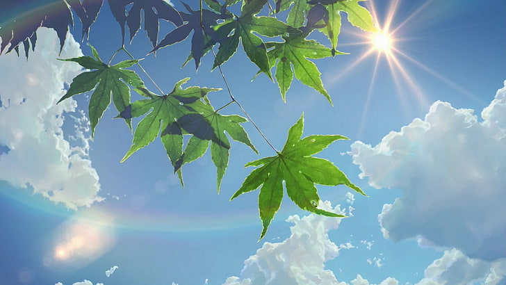 nubes, hojas, Makoto Shinkai, verano, rayos de sol, luz solar, el jardín de palabras, Fondo de pantalla HD