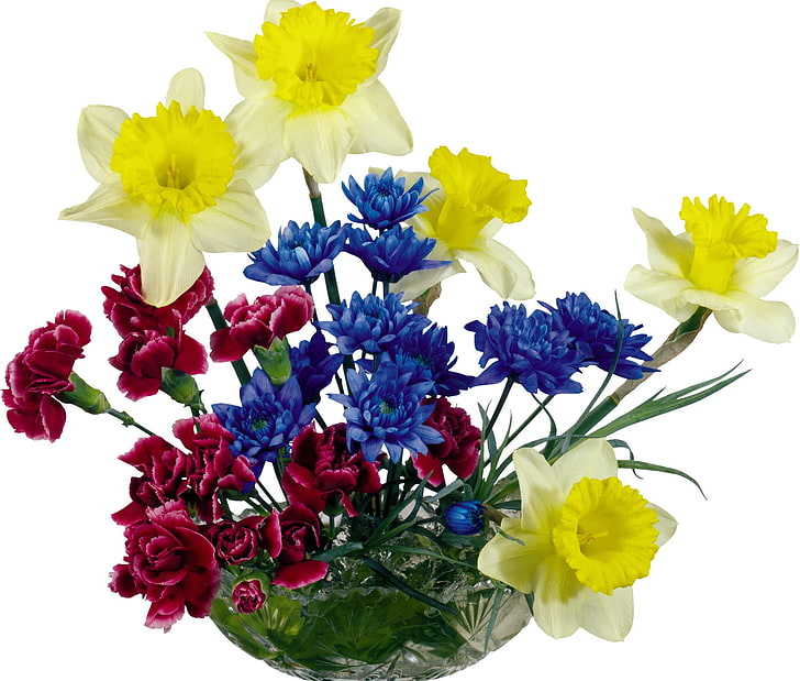yellow, blue, and red flower arrangement, daffodils, chrysanthemums, carnations, composition, vase, HD wallpaper