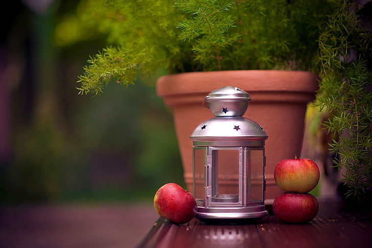 apples, plant, candle, flashlight, lantern, fruit, pot, Ikea, HD wallpaper
