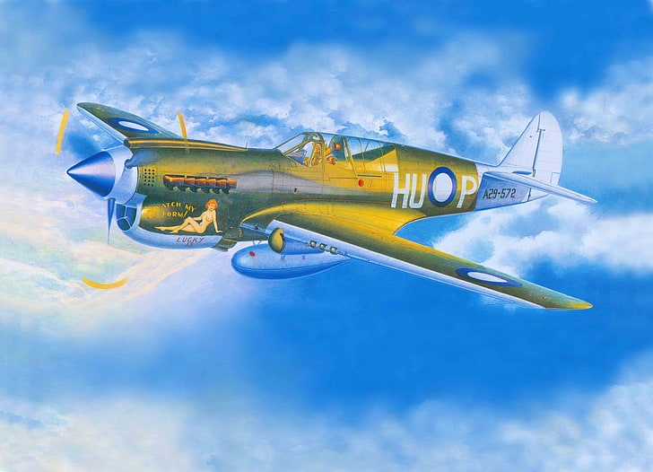 the plane, fighter, art, American, Curtiss, Tomahawk, P-40, Warhawk, WW2., Kittyhawk, HD wallpaper