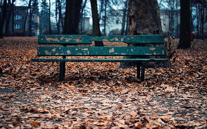 zielona metalowa ławka, jesień, ławka, liście, Tapety HD