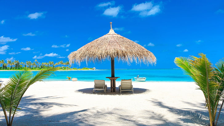 leżak, błękitne niebo, parasol, plaża piaszczysta, piasek, lato, plaża, niebo, czas letni, wakacje, relaks, palapa, egzotyczna, aruba, Tapety HD