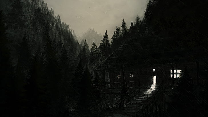 bosque oscuro, Fondo de pantalla HD