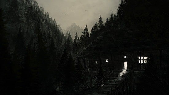  dark, forest, HD wallpaper HD wallpaper