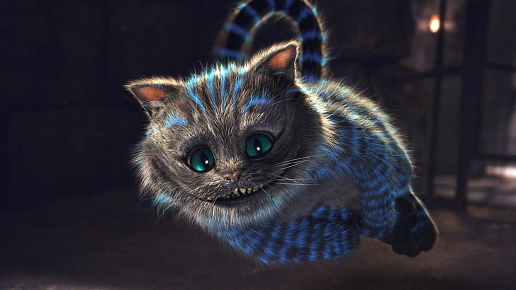 خلفية Alice in Wonderland Cheshire ، أليس في بلاد العجائب ، Cheshire Cat، خلفية HD