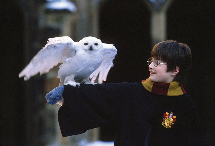 Harry Potter, Harry Potter och Philosopher's Stone, Daniel Radcliffe, HD tapet