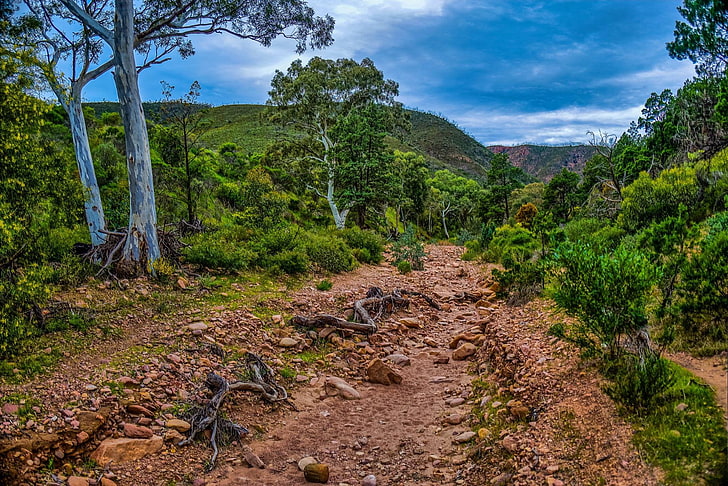 المناظر الطبيعية ، جنوب أستراليا، خلفية HD