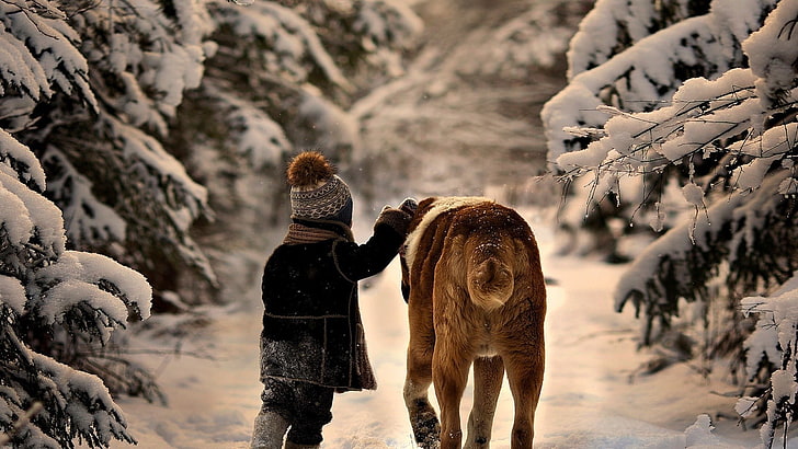 dorosły Saint Bernard, dzieci, pies, śnieg, zwierzęta, Tapety HD