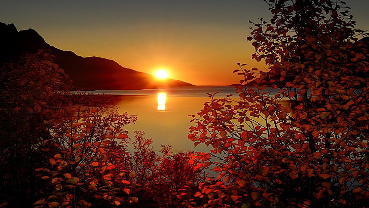 природа, червени листа, небе, ersfjordbotn, слънце, залез, есен, следсветление, Норвегия, отражение, червено небе, вечер, слънчева светлина, HD тапет