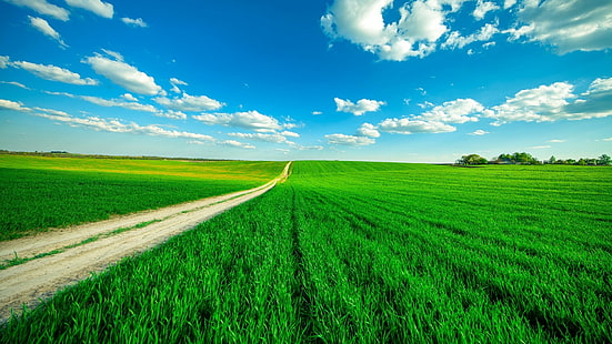 herbe, agriculture, ciel, duveteux, horizon, ciel bleu, nuage, infini, prairie, prairie, récolte, plaine, ferme, sans fin, terres agricoles, champ, nuages ​​duveteux, Fond d'écran HD HD wallpaper
