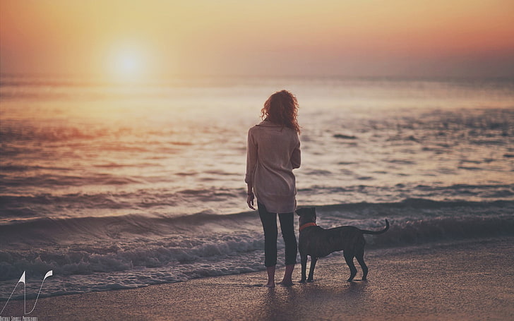 cão preto de pêlo curto, mar, cachorro, pôr do sol, praia, pessoas, mulheres ao ar livre, sol, água, mulheres, HD papel de parede