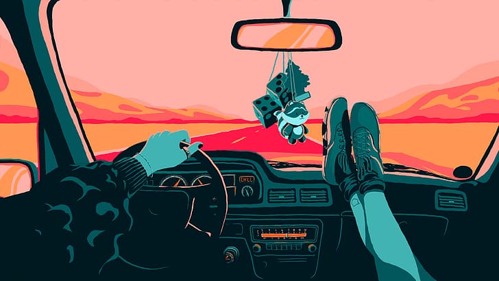vehicle, driving, rearview mirror, steering wheel, raccoons, road, dice, shoes, Jorge Artola, HD wallpaper