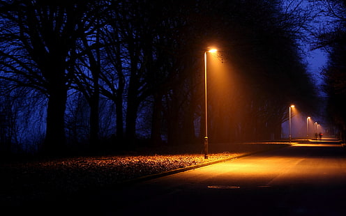 Laternenpfahl, Lampen, Lichtstrahlen, Lichter, Natur, Nacht, Menschen, Straßen, Bäume, HD-Hintergrundbild HD wallpaper