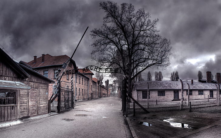 Buildings, Building, Auschwitz, Concentration Camp, HD wallpaper