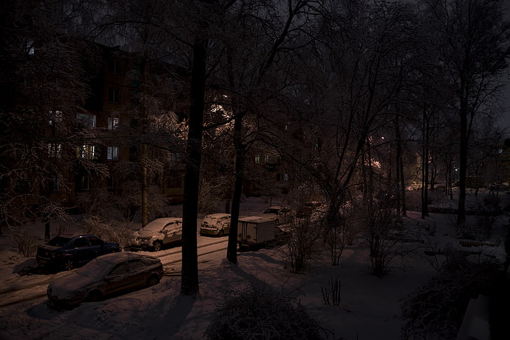 lapangan salju, salju, musim dingin, jalan, Rusia, Wallpaper HD