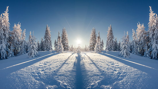 Winter 4k schönes Bild, HD-Hintergrundbild HD wallpaper