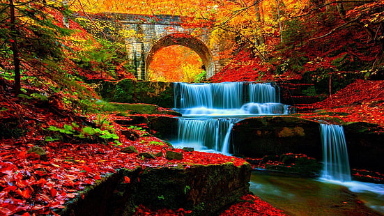 природа, вода, листа, водно тяло, река, есен, растителност, водопад, мост, поток, дърво, пейзаж, широколистни, HD тапет HD wallpaper
