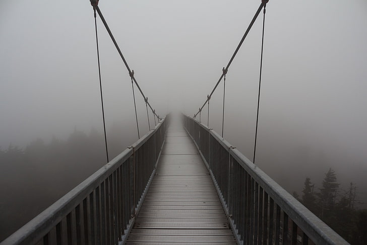 дървен мост, мъгла, въже, природа, HD тапет