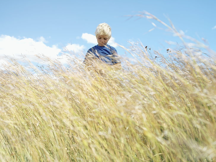 boy's blue top, boy, field, grass, HD wallpaper