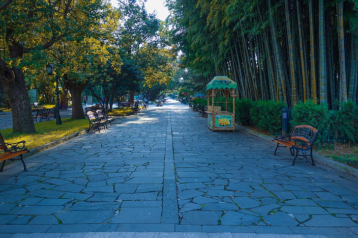 bamboo trees, brick, desktop, hd, loneliness, lonely, long, shadow, shadows, sidewalk, street, tree, trees, walk, HD wallpaper