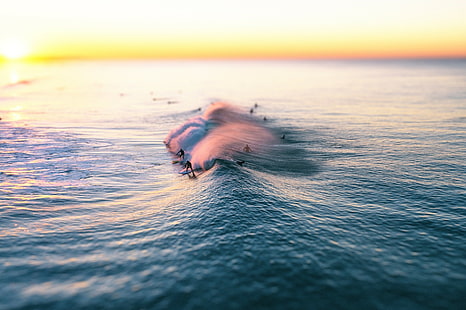 серфинг, море, волны, HD обои HD wallpaper