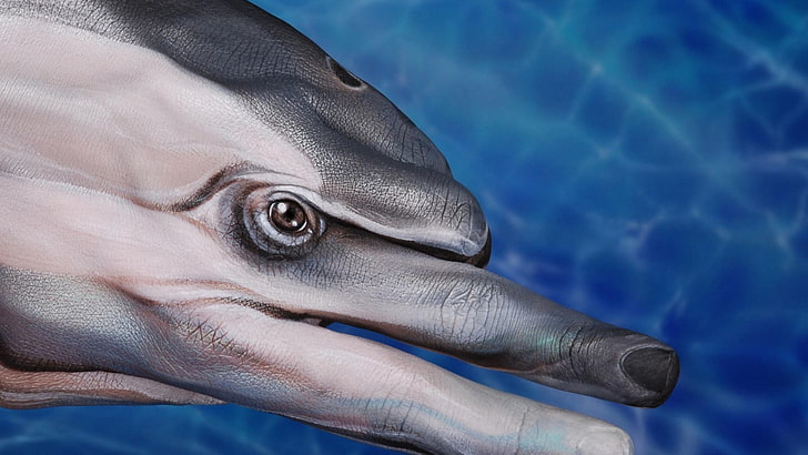Hand der Person mit Augenillustration, Tiere, Delphin, Hände, Finger, Körperfarbe, Augen, Blau, Wasser, HD-Hintergrundbild