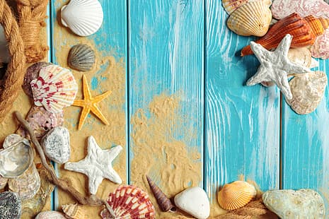 sand, beach, shell, wood, marine, still life, starfish, seashells, HD wallpaper HD wallpaper