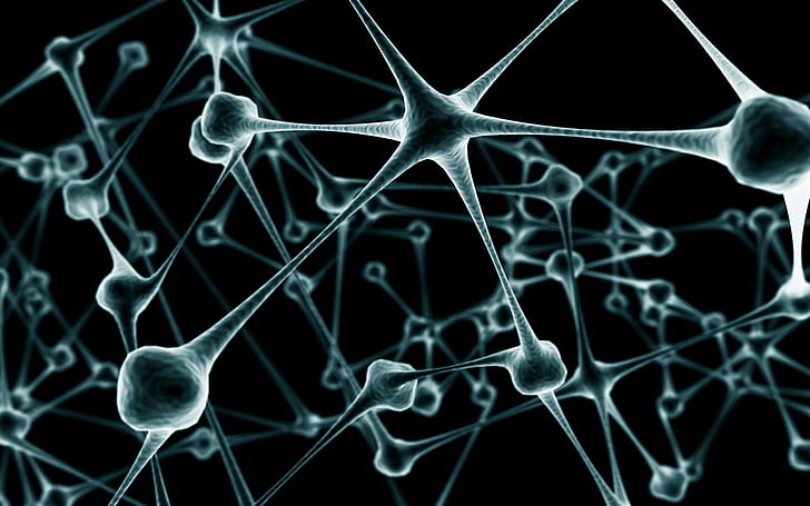 neuron, Wallpaper HD