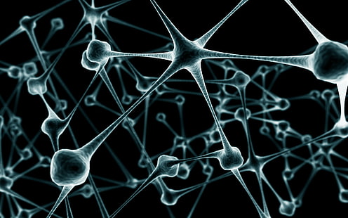 neuronas, Fondo de pantalla HD HD wallpaper