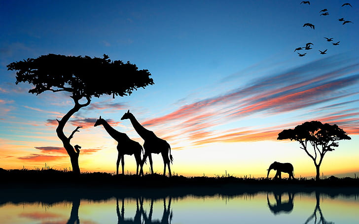 Żyrafa afrykańska i słoń o zachodzie słońca, odbicie jeziora, sylwetka żyraf, fotografia ptaków i drzew, Afryka, żyrafa, słoń, zachód słońca, jezioro, odbicie, Tapety HD