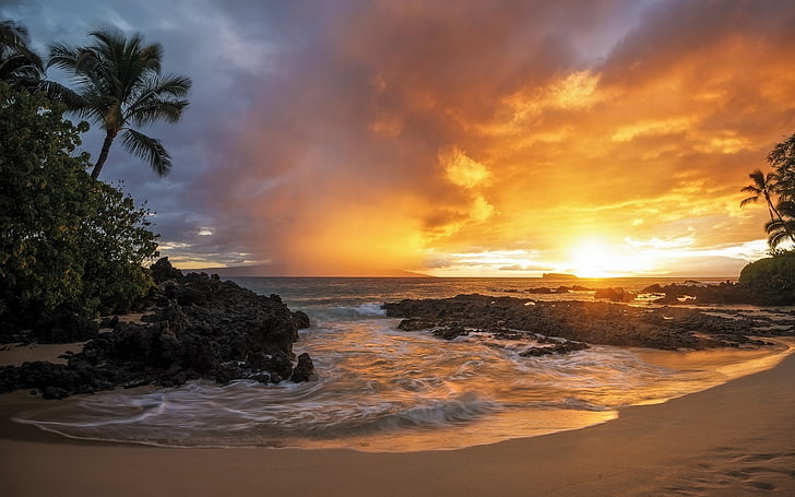 nature, paysage, coucher de soleil, sable, plage, palmiers, mer, roche, nuages, tropical, or, Fond d'écran HD
