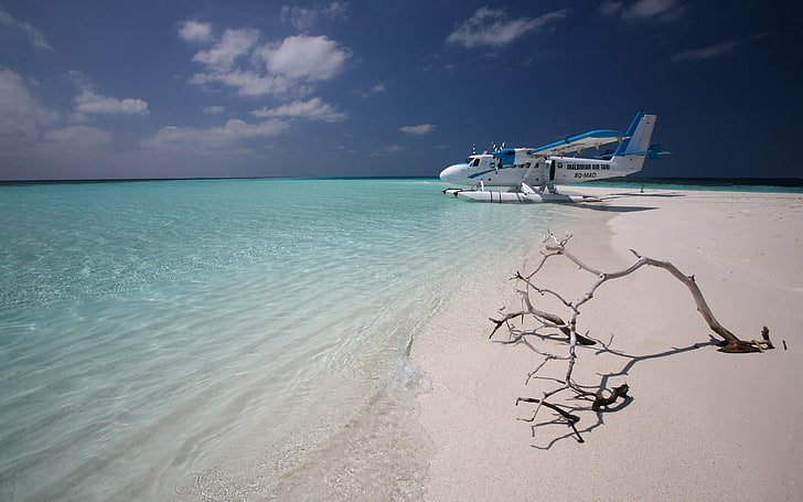 Maldivian Air Taxi, white sea plane, Aircrafts / Planes, , plane, aircraft, HD wallpaper