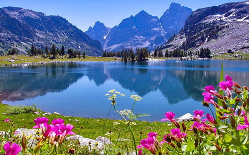 Jenny Lake w Wyoming wiosenne kwiaty skaliste góry Grand Teton National Park Hd Wallpapers 2560 × 1600, Tapety HD HD wallpaper