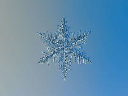 biały płatek śniegu, płatek śniegu, makro, nadchodzi zima, biały, zdjęcie, kryształ śniegu, symetria kryształu, na zewnątrz, zimno, mróz, naturalny, lód, zbliżenie, przezroczysty, sześciokąt, powiększony, szczegóły, kształt, boże narodzenie, znak, symbol, pora roku sezonowy, w porządku, elegancki, ozdobny, piękno, piękny, północ, dekoracje, odizolowany, jasny, wyjątkowy, ozdobiony, lekki, oświetlenie, kruchy, kruchość, struktura, tło, płatek, mroźny, wzór, pogoda, lodowaty, mikroskopijny, ornament dekoracja, abstrakcyjny, błyszczący, brokat, blask, projekt, wolumetryczny, burza, nowy rok, dendryt, zima, tła, uroczystość, Tapety HD HD wallpaper