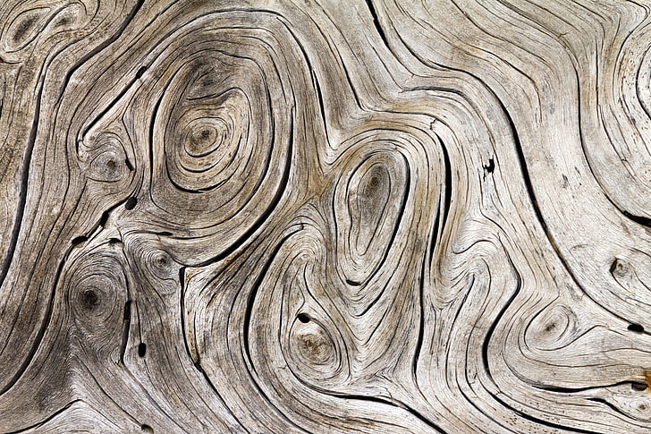 brown tree trunk wallpaper, wood, gray, streaks, HD wallpaper