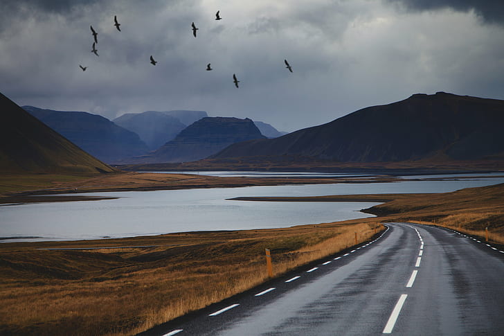 серая бетонная дорога, Киркьюфелл, средне-серый, бетонная дорога, гора, Исландия, пеший туризм, поход, icelandair, Рейкьявик, ИГ, треккинг, исландский, открытый, альпинизм, горы, пустыня, саммит, пейзажи, лес, на открытом воздухе, озеро, природа,пейзаж, пейзажи, путешествия, птица, дорога, шоссе, HD обои